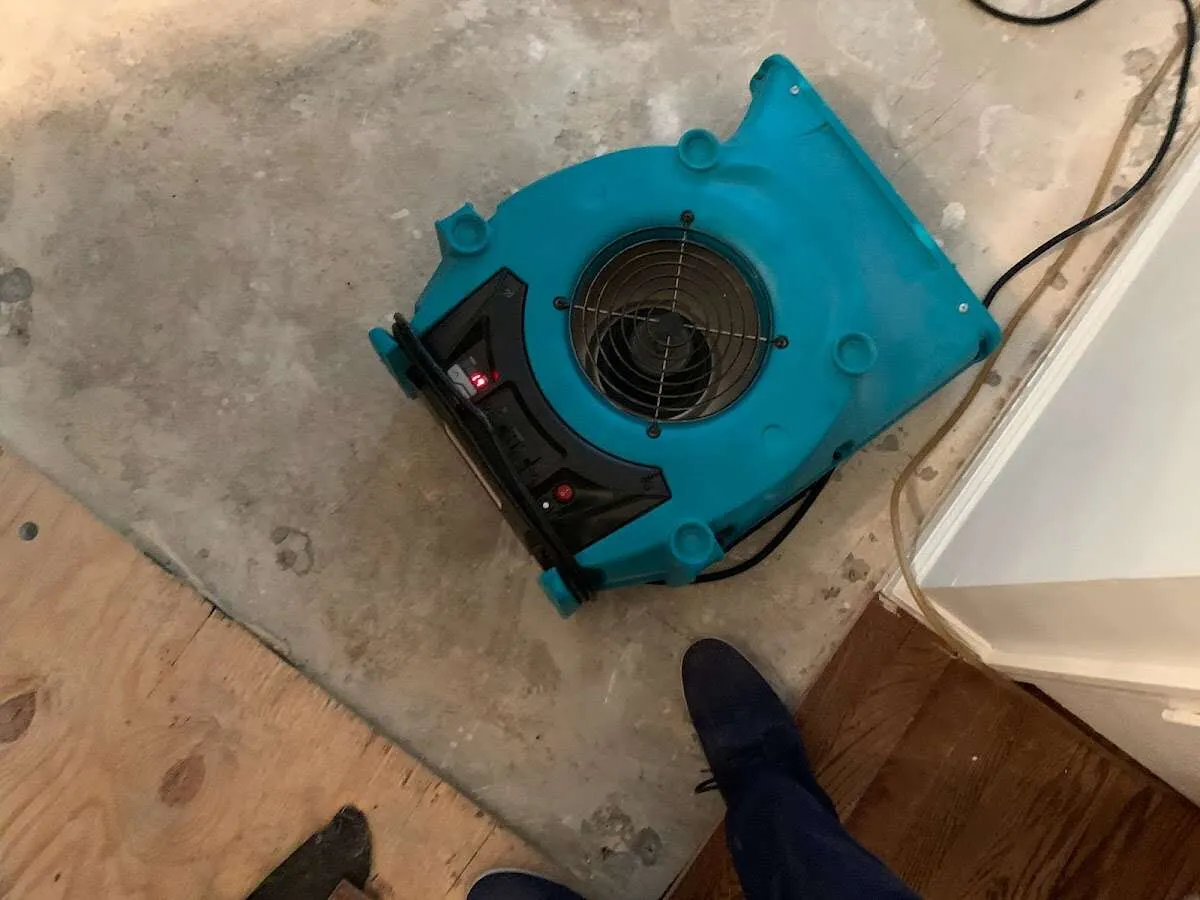 Air mover drying subfloor during Leak Detection & Repair in Villa Hills
